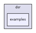 src/dsr/examples/