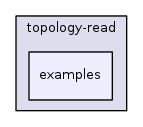 src/topology-read/examples/