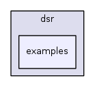 src/dsr/examples/