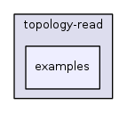 src/topology-read/examples/