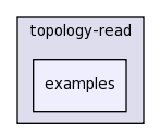 src/topology-read/examples