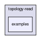 src/topology-read/examples