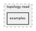 src/topology-read/examples