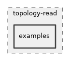 src/topology-read/examples