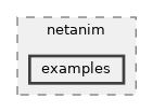 src/netanim/examples